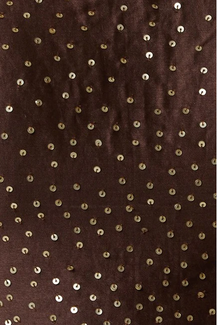 Chanderi Silk Embellished Lehenga Set in Brown - Image 6