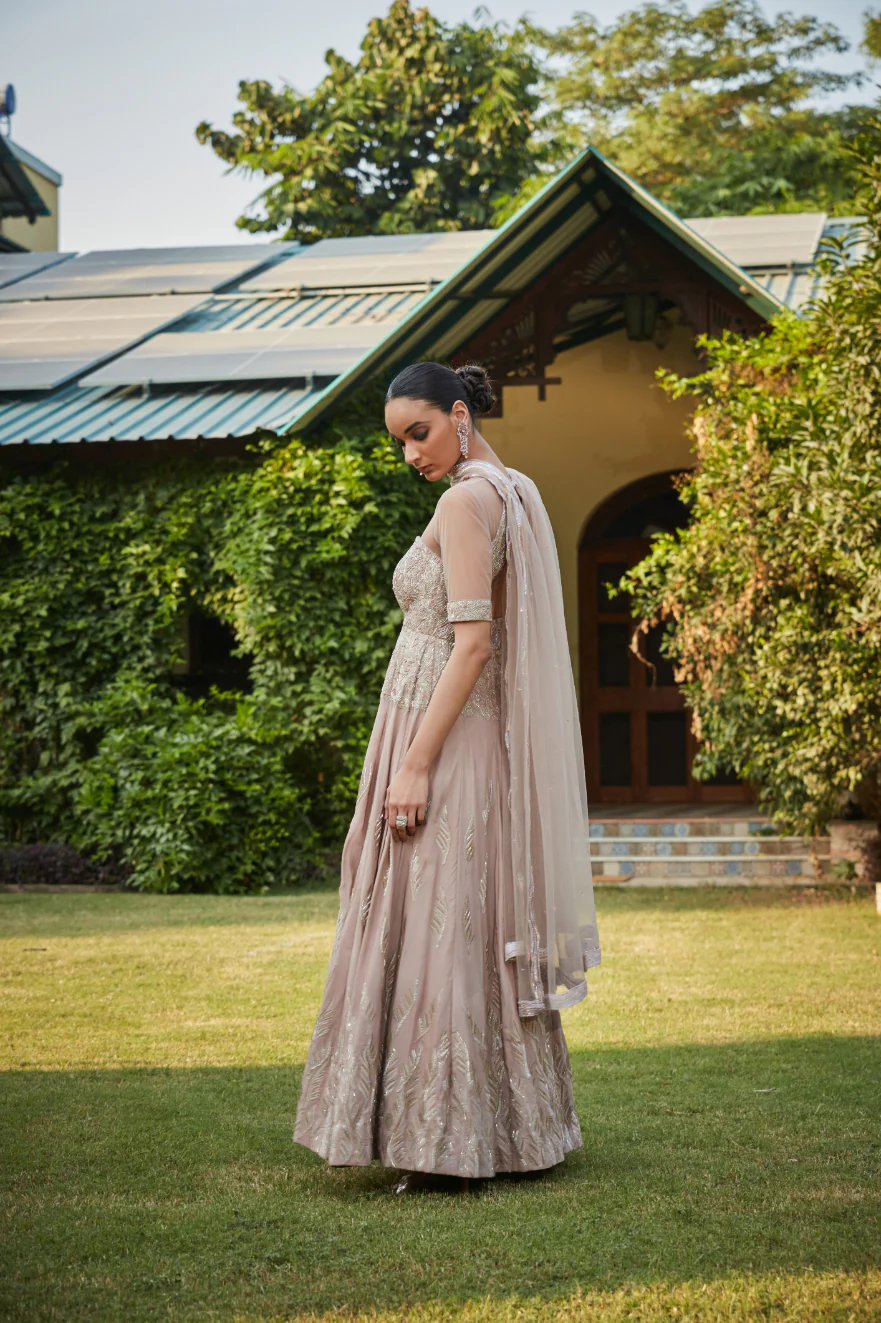 Vaani Champagne Anarkali - Image 3