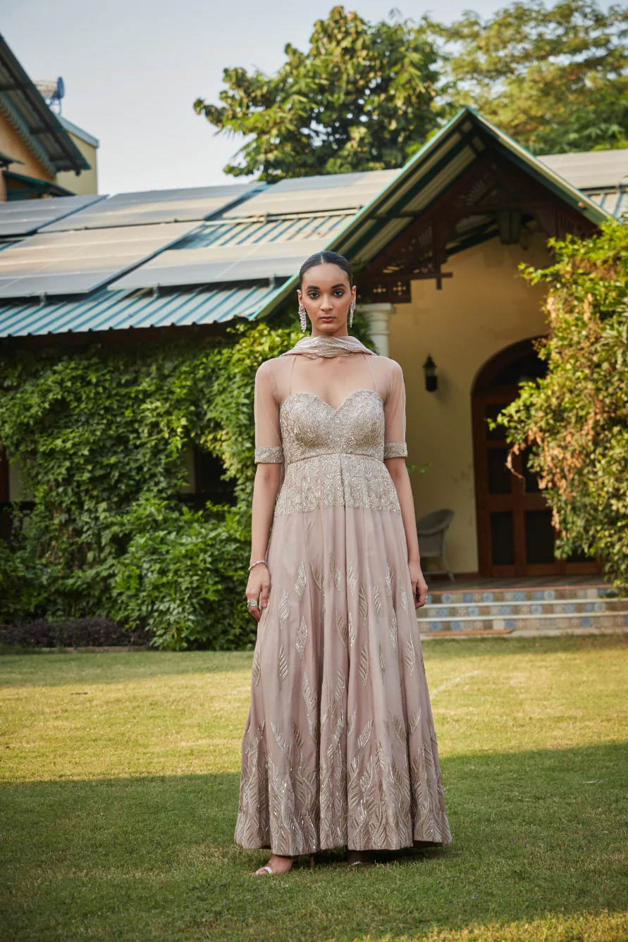 Vaani Champagne Anarkali - Image 4